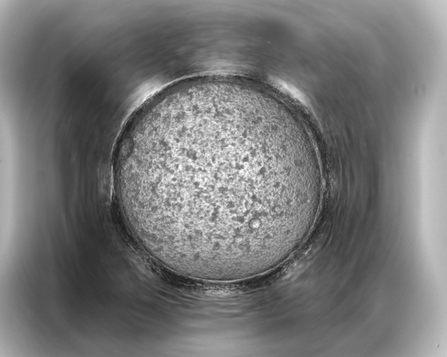 X0000087041267200705021129