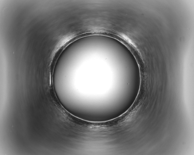 X0000087041269200705021129