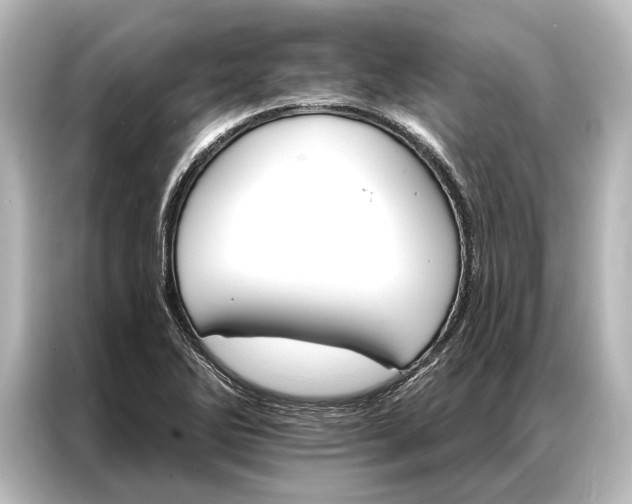 X0000087041270200705021129