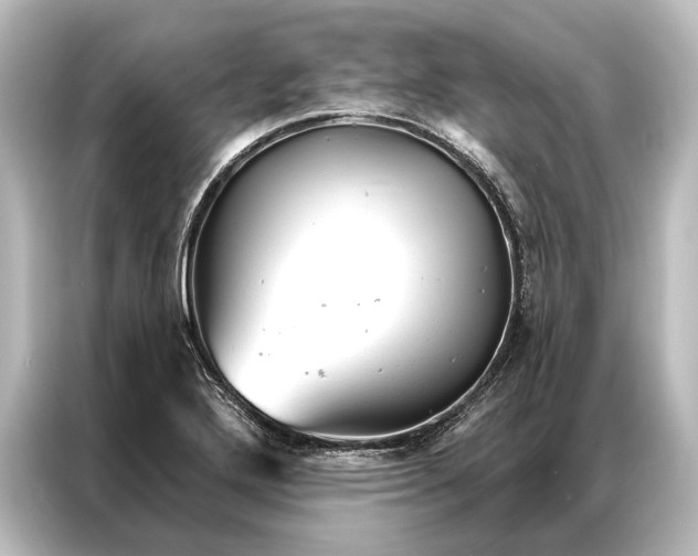 X0000087041272200705021129