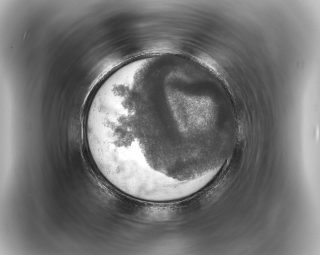 X0000087041274200705021129