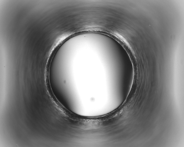 X0000087041277200705021129