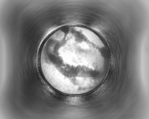 X0000087041278200705021129