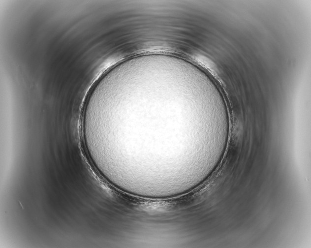 X0000087041282200705021129