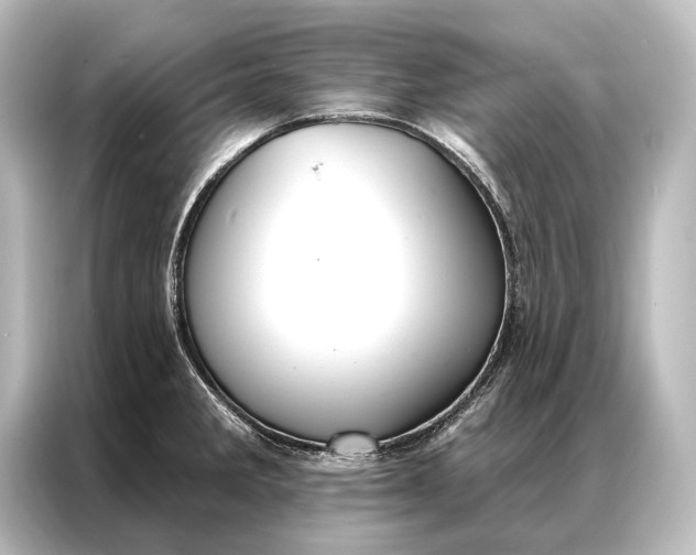 X0000087041285200705021129