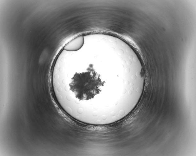 X0000087041287200705021129