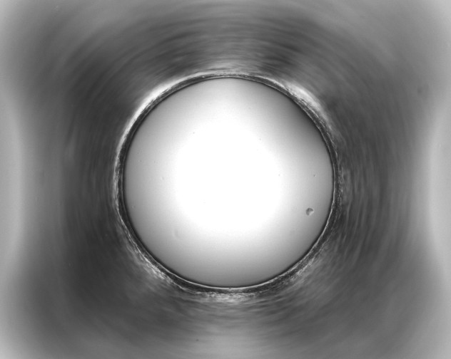 X0000087041288200705021129