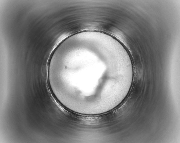 X0000087041290200705021129