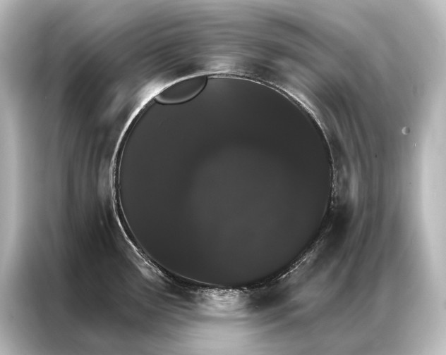 X0000087041291200705021129