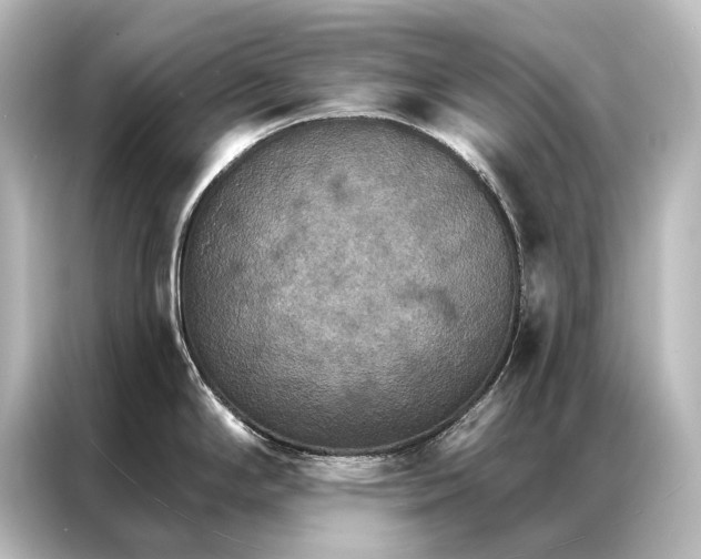 X0000087041294200705021129
