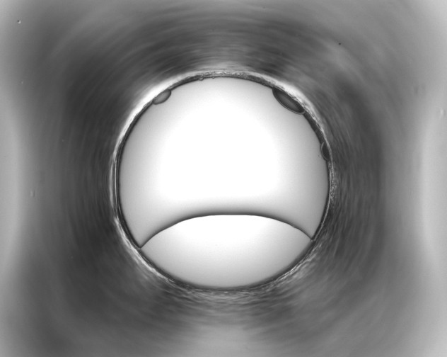 X0000087041295200705021129