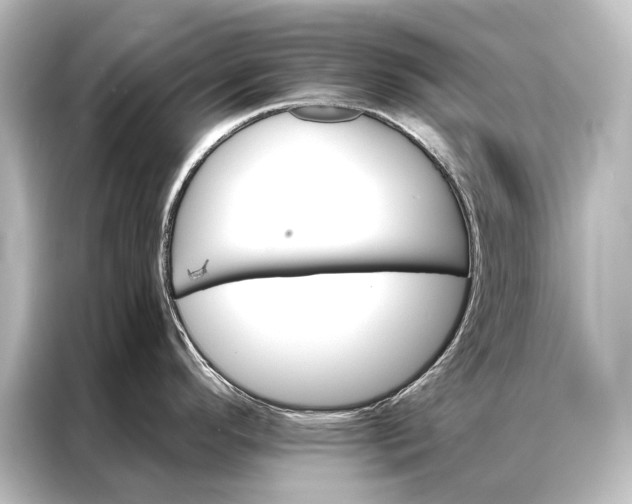X0000087041296200705021129