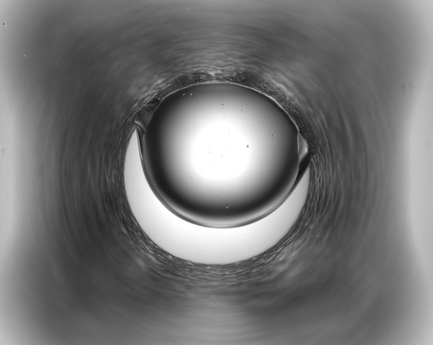 X0000087041298200705021128