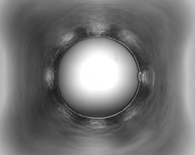 X0000087041299200705021128