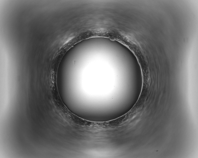 X0000087041301200705021128