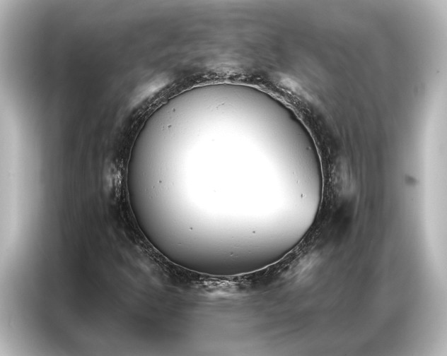 X0000087041302200705021128