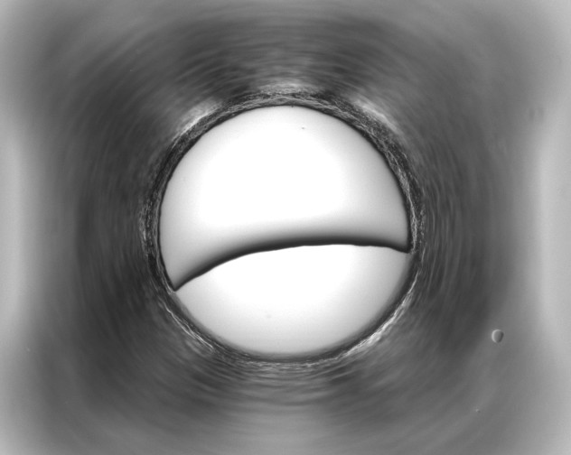 X0000087041305200705021128