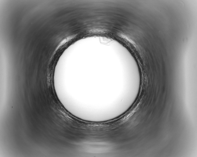 X0000087041306200705021128