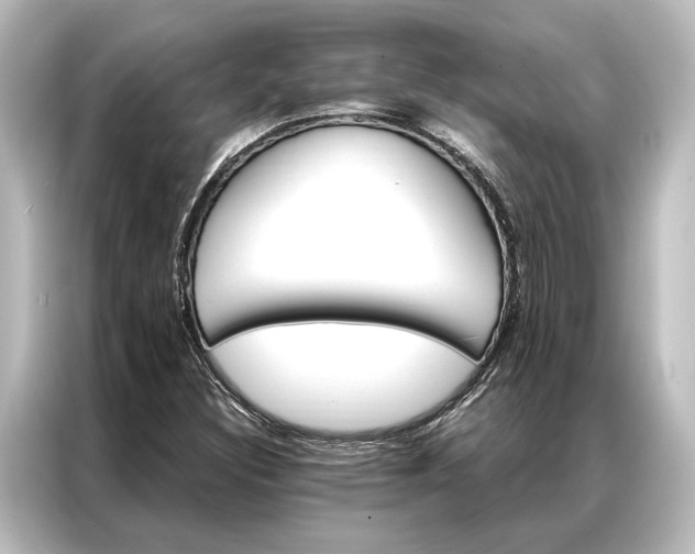 X0000087041308200705021128