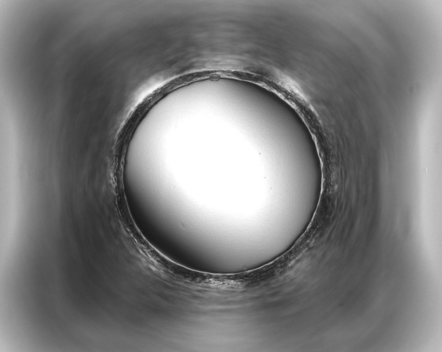 X0000087041312200705021129