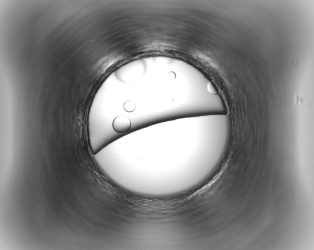 X0000087041313200705021129