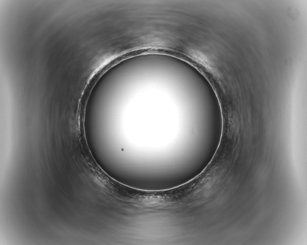 X0000087041316200705021129