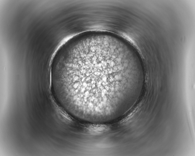 X0000087041323200705021129