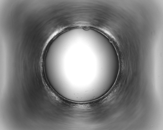 X0000087041325200705021129