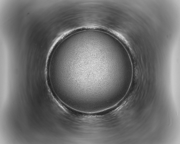 X0000087041327200705021129