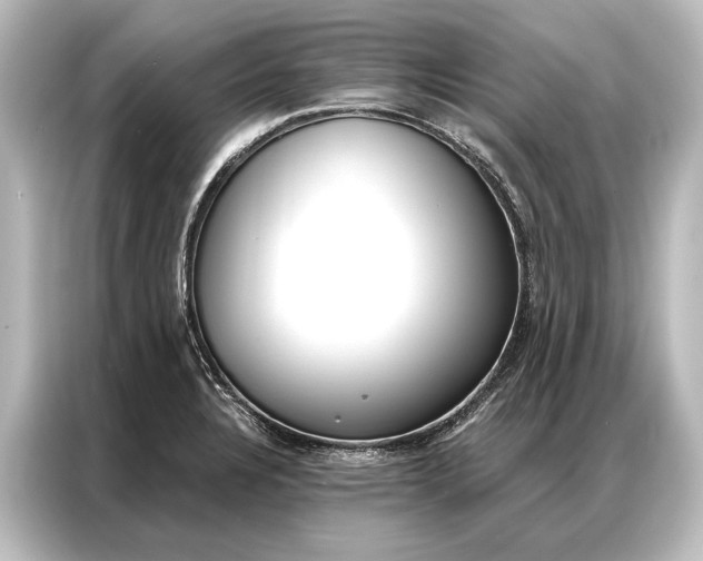 X0000087041328200705021129