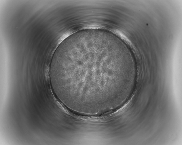 X0000087041329200705021129