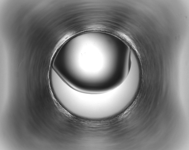 X0000087041330200705021129
