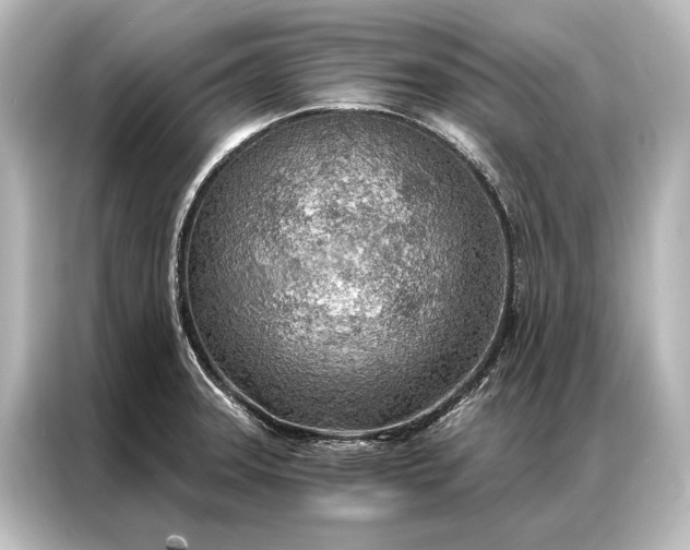 X0000087041331200705021129