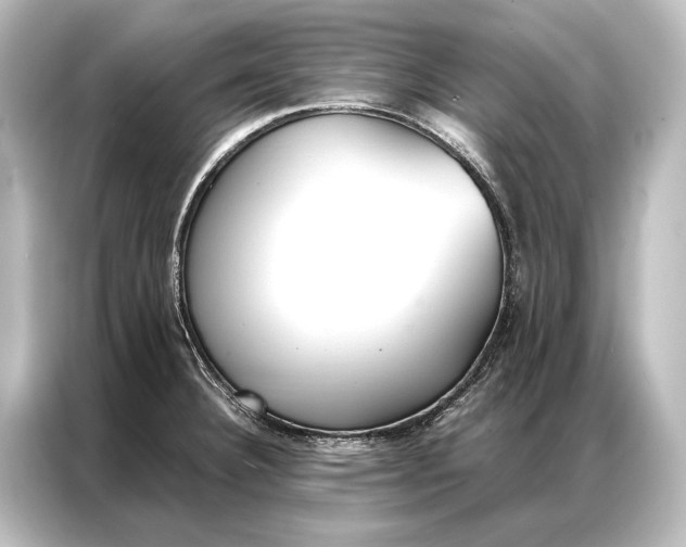 X0000087041332200705021129