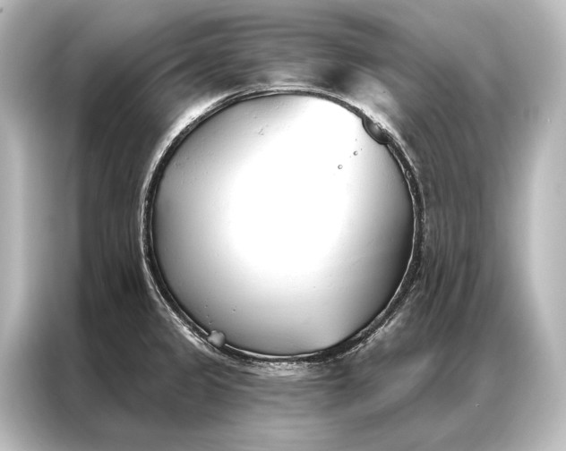 X0000087041333200705021129
