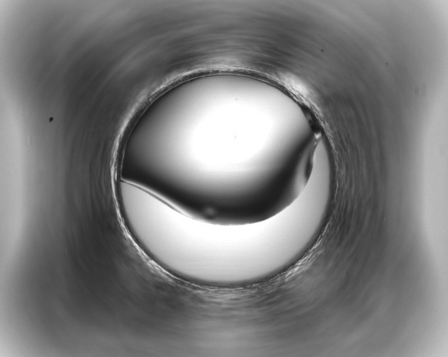 X0000087041334200705021129