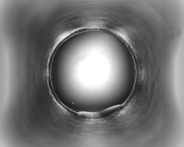 X0000087041335200705021129