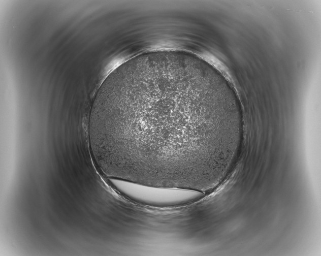X0000087041337200705021129