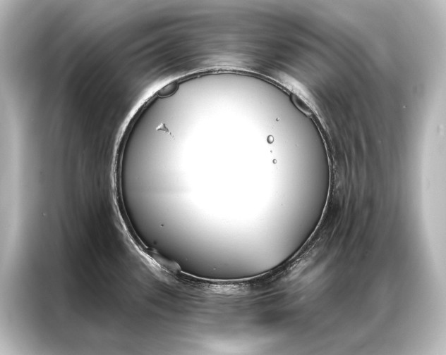X0000087041339200705021129