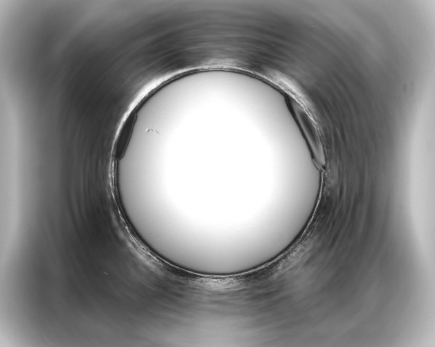 X0000087041340200705021129