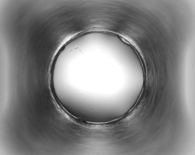 X0000087041341200705021129