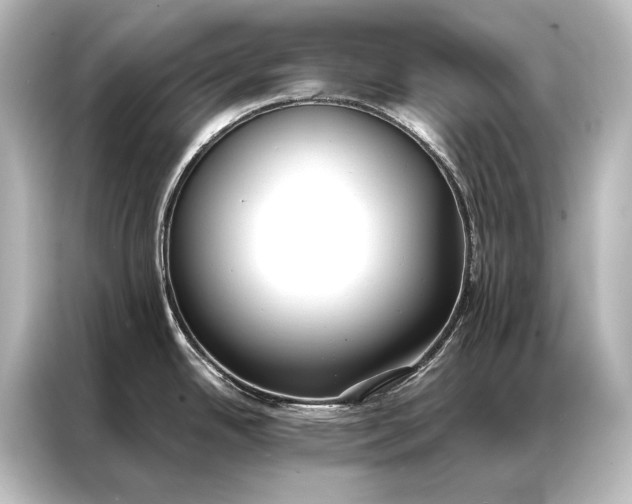 X0000087041342200705021129