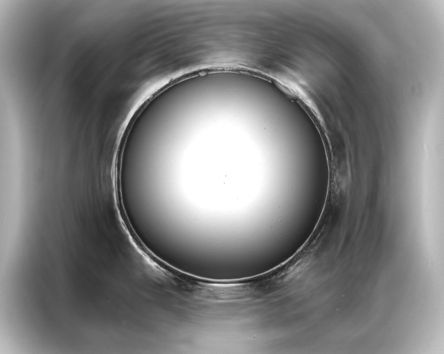 X0000087041343200705021129