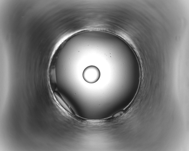 X0000087041344200705021129