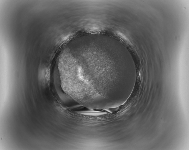 X0000087041348200705021128
