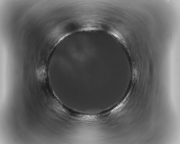 X0000087041353200705021128