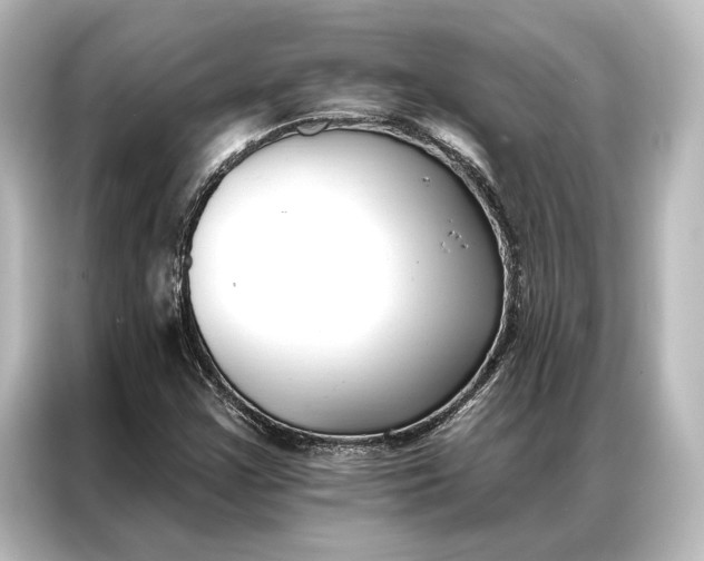 X0000087041355200705021128