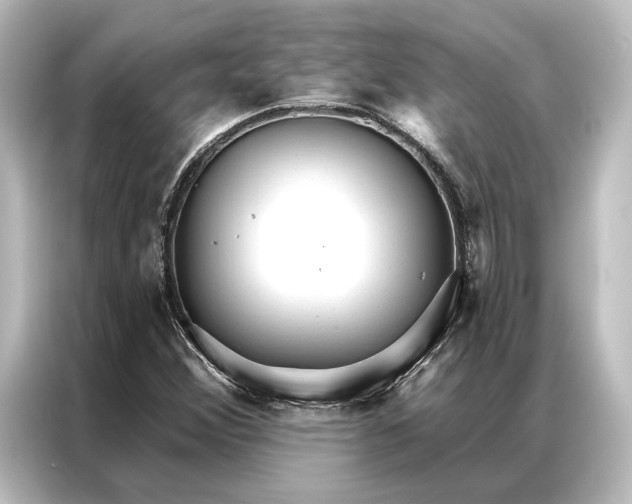 X0000087041356200705021128