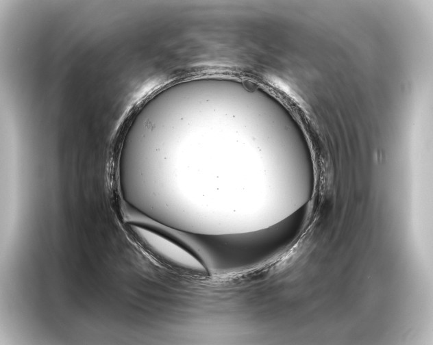 X0000087041357200705021128