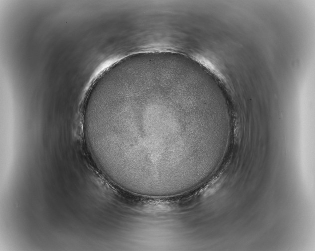 X0000087041358200705021128